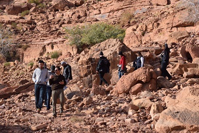 Mid-Size Guided Group Tour 