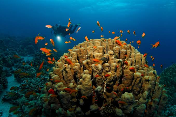 Best Time to Visit Aqaba, Jordan: Top Attractions and Things to Do
