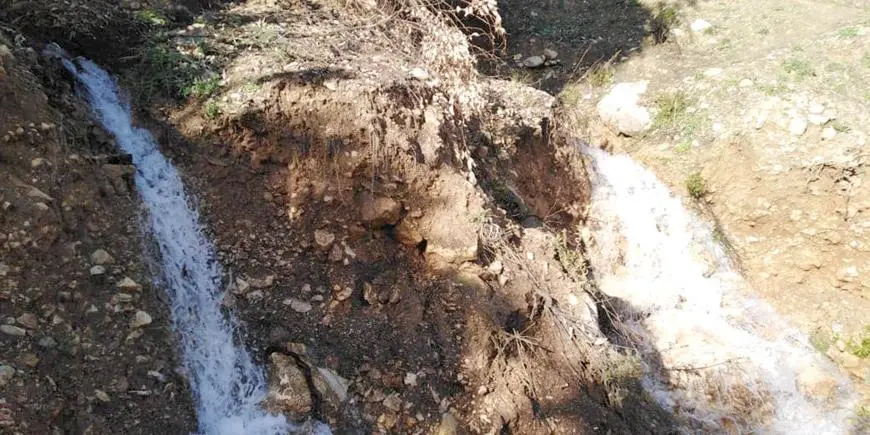 Jerash Springs Burst Back to Life After Recent Rainfall