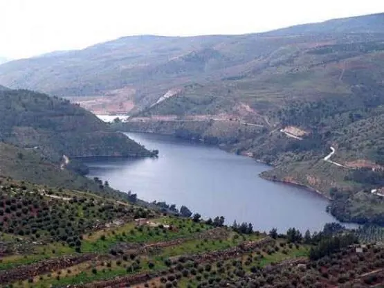 Dams 38% Full, Jordan Sees 67.7% of Annual Rainfall Average