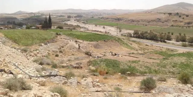 Flora, Fauna Remains in Wadi Al Zarqa Offer Scholars Insight Into Ancient Settlement